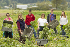 Rotary First Harvest is a program of District 5030 that connects farmers, truckers, volunteers and foodbanks to feed hungry families healthy food in Washington State.